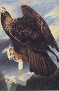 John James Audubon Golden Eagle USA oil painting artist